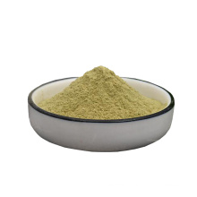 Factory supply 100% natural organic dry celery powder with great price